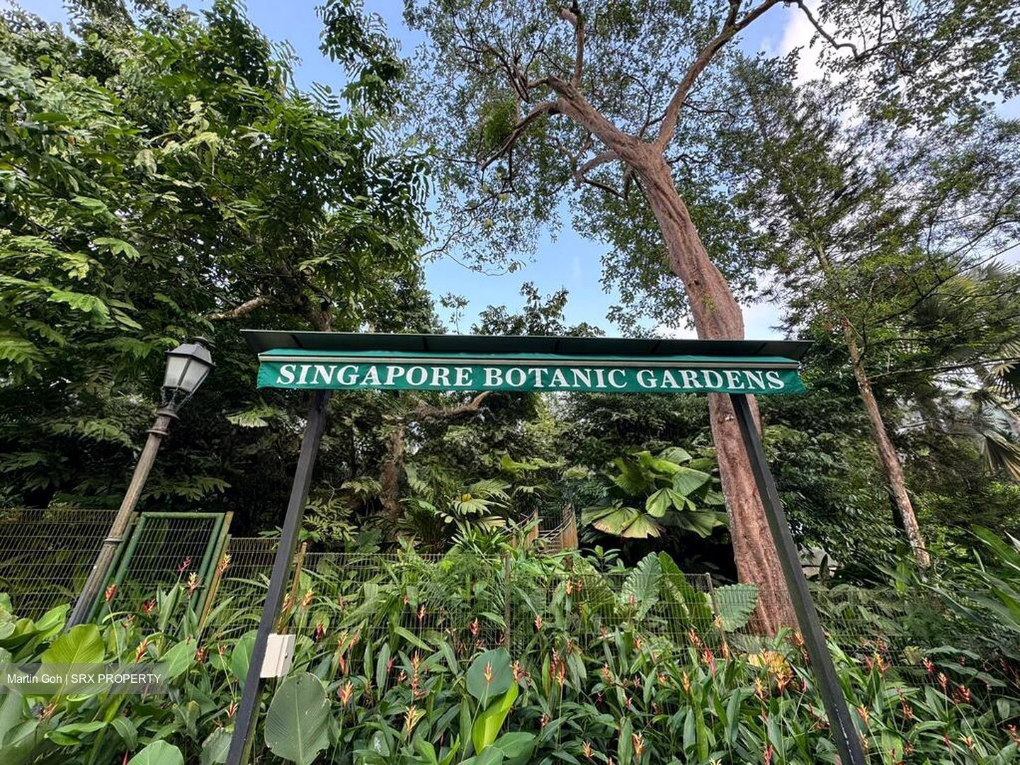 College Green (D11), Detached #499150791